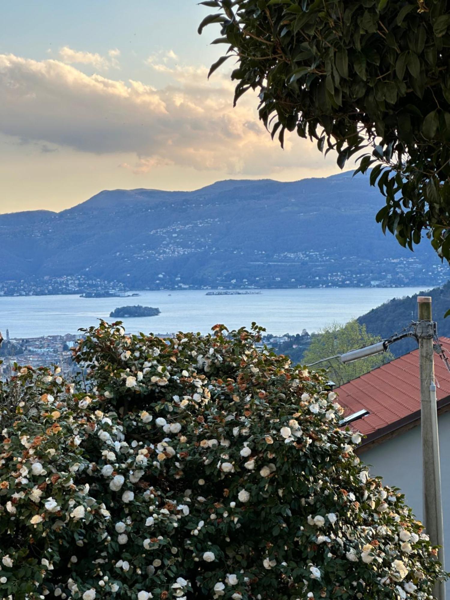 Villa Simonetta Bee Esterno foto